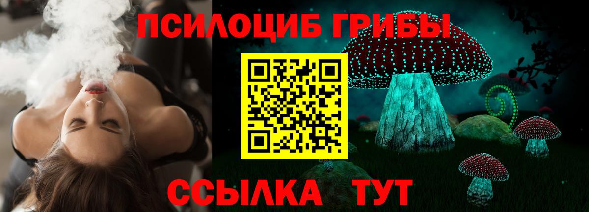 Галлюциногенные грибы прущие грибы  Псилоцибиновые грибы Magic Shrooms  Десногорск  Вход с VPN 